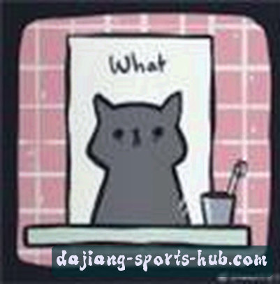 张磊